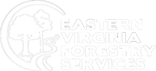 Eastern Virginia Forestry Service