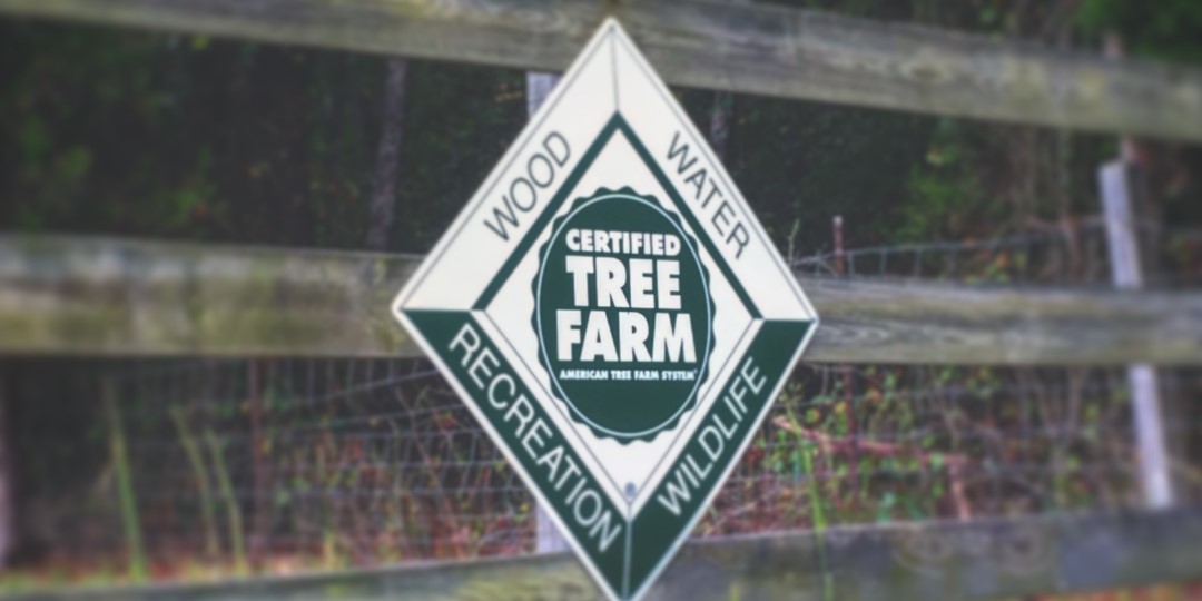 Become an American Tree Farm System Certified Tree Farm in Virginia or North Carolina