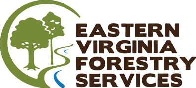 Eastern Virginia Forestry Services