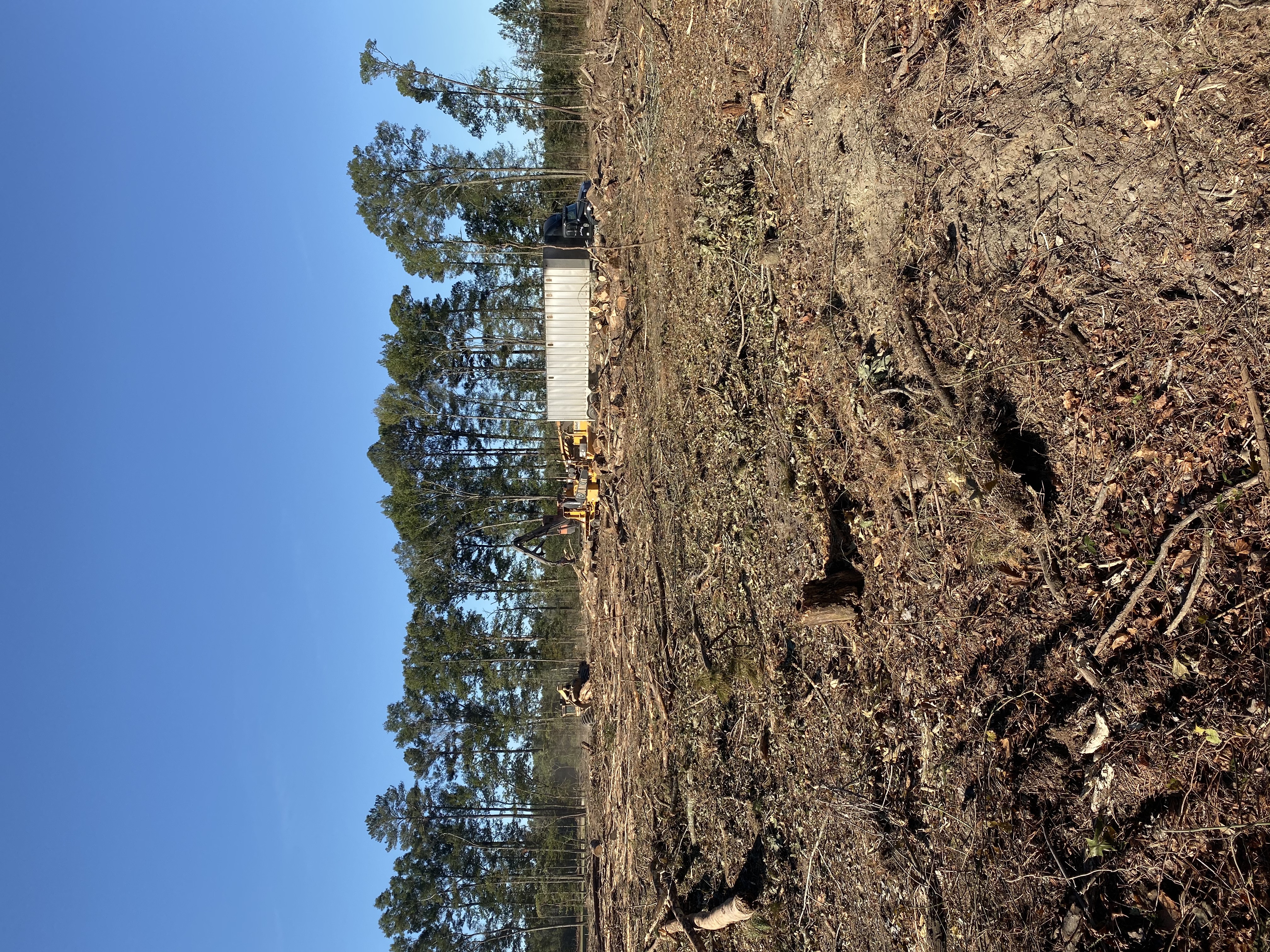 Timber Harvest Timber Harvest
