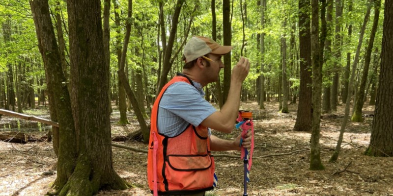 Taking a Forest Inventory with Timber Cruising Transponders