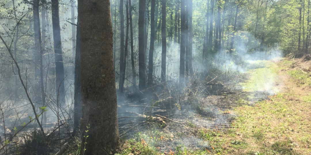 Prescribed Burning